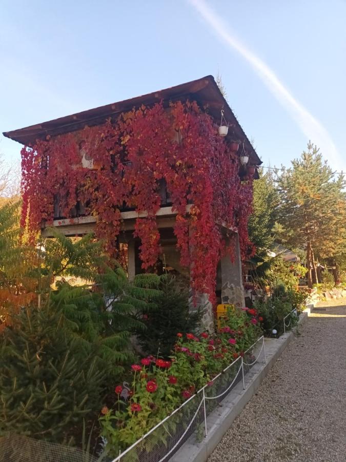 Villa Cabana Micutu Sebeş Exterior foto