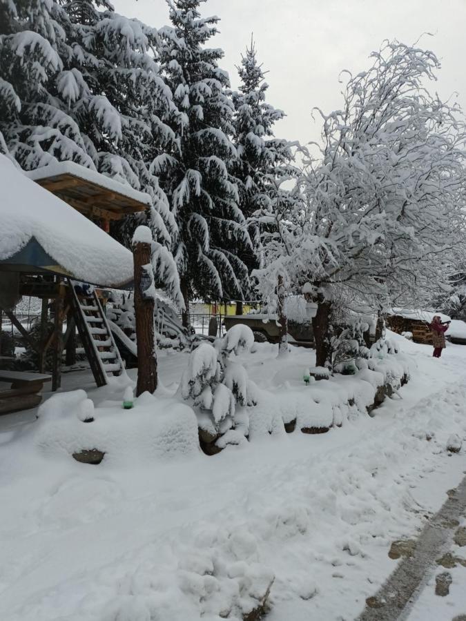 Villa Cabana Micutu Sebeş Exterior foto