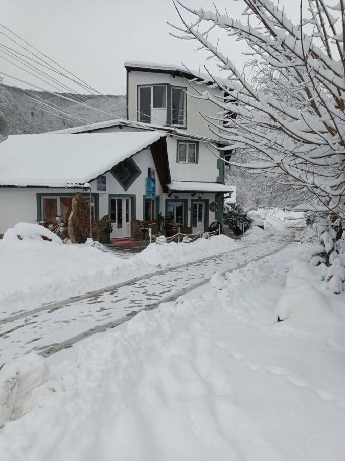 Villa Cabana Micutu Sebeş Exterior foto